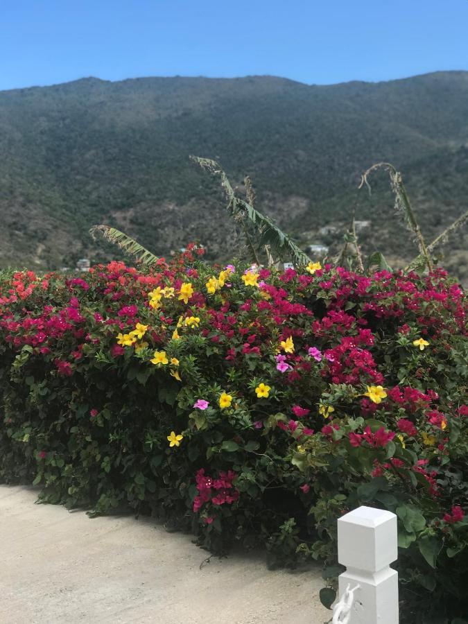 Ocean View Villas Jost Van Dyke ภายนอก รูปภาพ